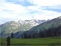 Yusmarg In Kashmir