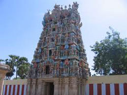 Kaasina Venthar Temple-Thirupulinkudi
