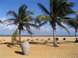 Negombo Beach, Colombo